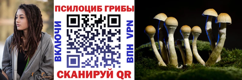 как найти наркотики  MEGA ссылка  Псилоцибиновые грибы мицелий  Нарткала 