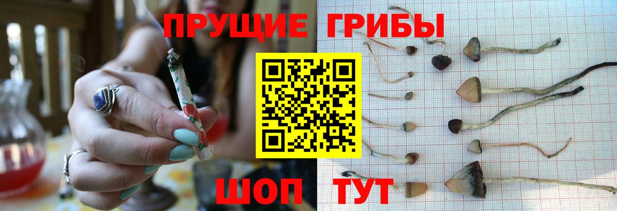 Галлюциногенные грибы Magic Shrooms  продажа наркотиков  Нарткала  Вход с VPN 